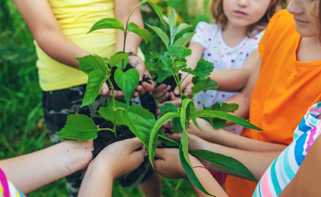 Future-Ready Careers Series:  Exploring Sustainability Pathways for Students